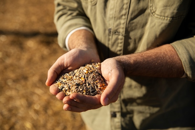 Agricoltore maschio che tiene i grani nelle sue mani