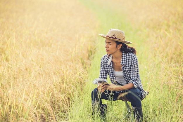 Agricoltore nel campo di riso con smartphone
