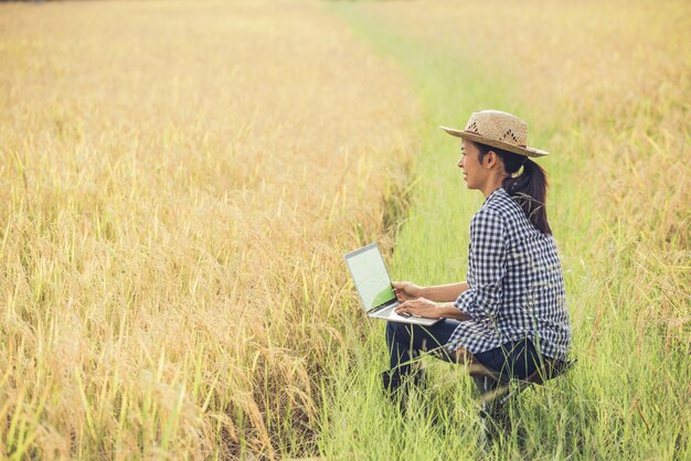 Agricoltore nel giacimento del riso con il computer portatile