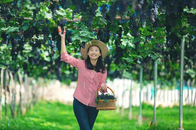 Agricoltori di vigneto che sorridono e si godono il raccolto.