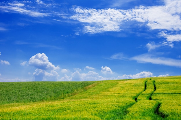 Agriturismo campo con un cielo con le nuvole