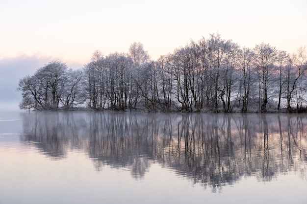 Alberi innevati vicino al lago con riflessi nell'acqua in una giornata nebbiosa