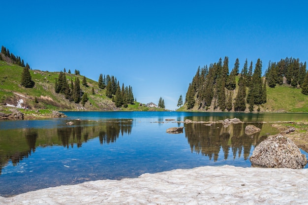 Alberi sulle montagne circondate dal lago Lac Lioson in Svizzera