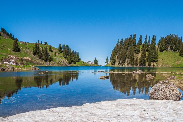 Alberi sulle montagne circondate dal lago Lac Lioson in Svizzera