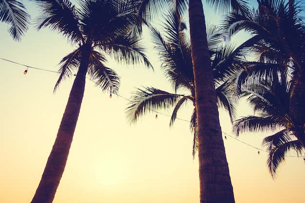 alberi tropicali estive sole spiaggia