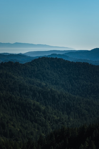 Alberi verdi sulla montagna durante il giorno