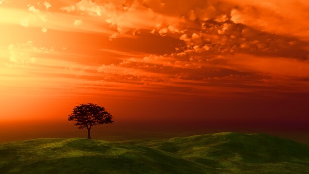 Albero al tramonto