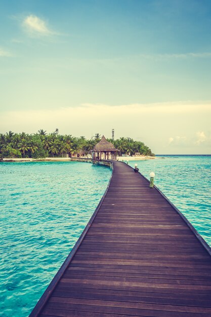 albero carattere cielo maldive paesaggio