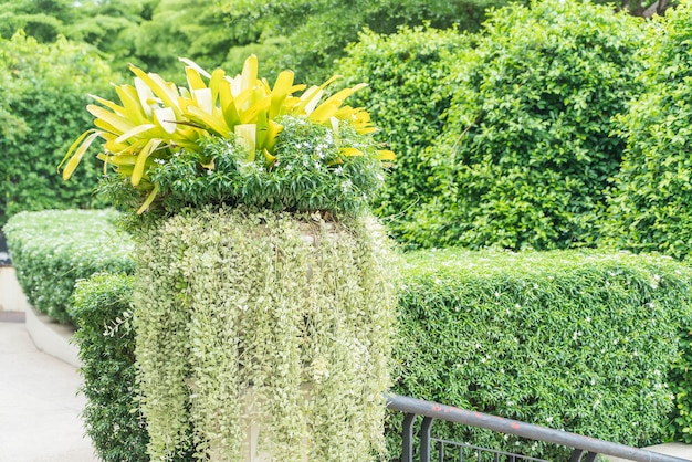 Albero di bouquet in vaso