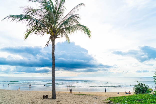 albero di cocco con spiaggia tropicale