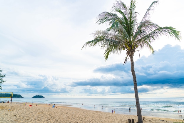 albero di cocco con spiaggia tropicale