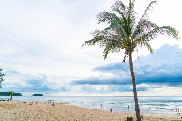 albero di cocco con spiaggia tropicale