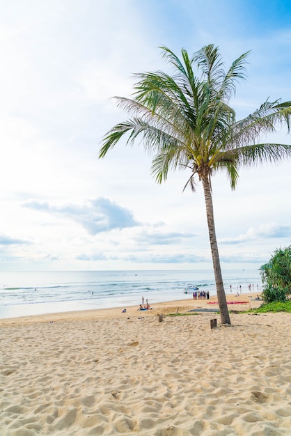 albero di cocco con spiaggia tropicale