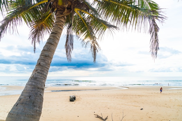 albero di cocco con spiaggia tropicale