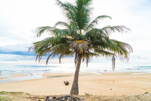 albero di cocco con spiaggia tropicale