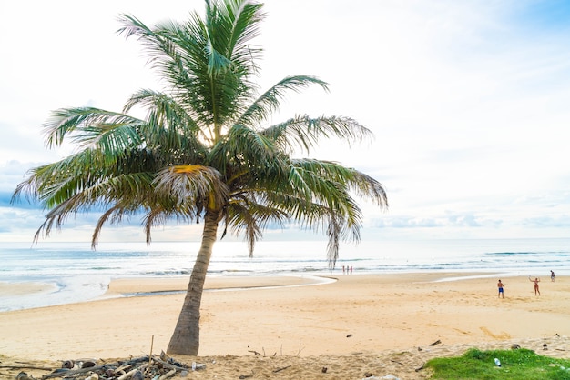 albero di cocco con spiaggia tropicale