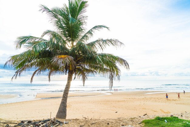 albero di cocco con spiaggia tropicale