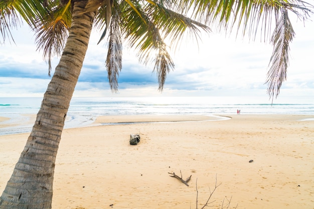 albero di cocco con spiaggia tropicale