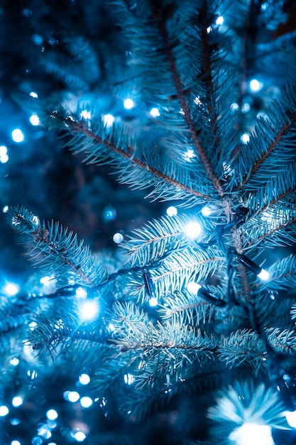 Albero di Natale con coni su una strada cittadina illuminata con una ghirlanda.