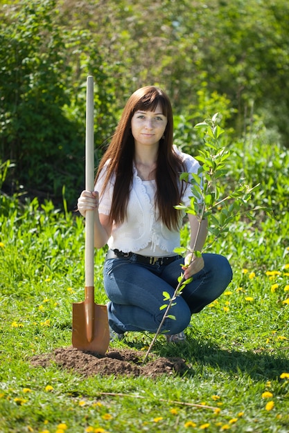 Albero di piantagione della donna