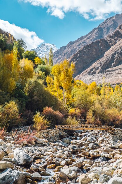 albero di pino, ponte in autunno e montagna a Leh Ladakh, in India