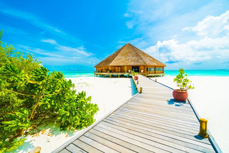Foto gratuito albero di vacanza splendida laguna estate
