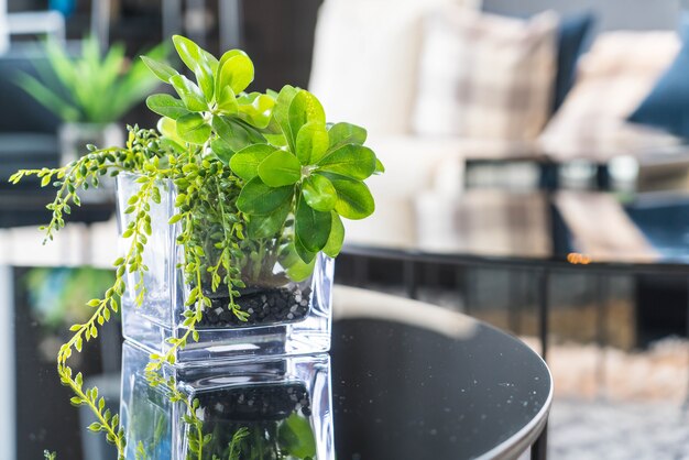 Albero in vaso decorazione sul tavolo