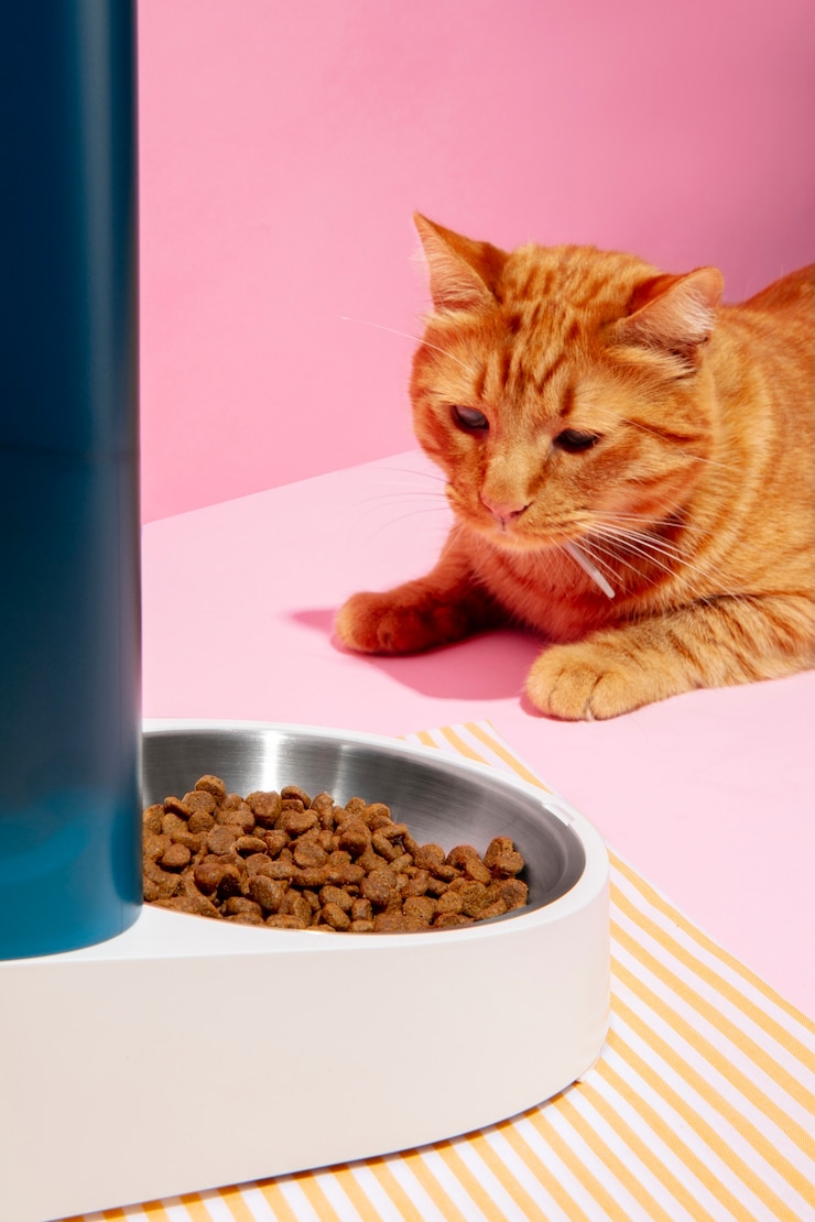 Foto gratuito alimentatore intelligente per animali domestici natura morta