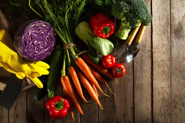 Alimenti Verdura Sfondo Variopinto. Gustose verdure fresche sul tavolo di legno. Vista superiore con lo spazio di copia.