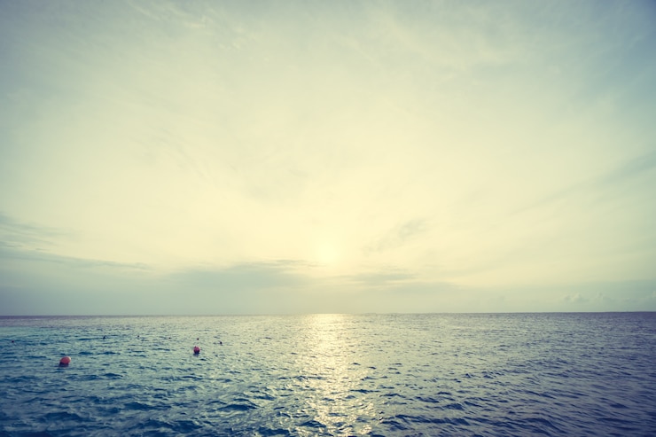 Foto gratuito all'alba sul mare