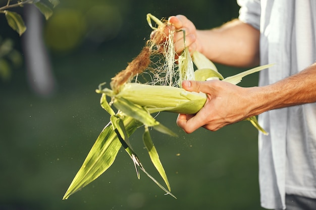 Allegro contadino con verdure biologiche in giardino. Verdura biologica mista nelle mani dell'uomo.