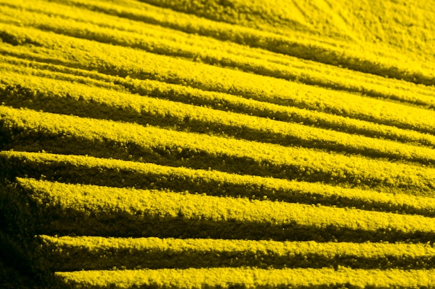 Alta visibilità delle linee parallele gialle della sabbia