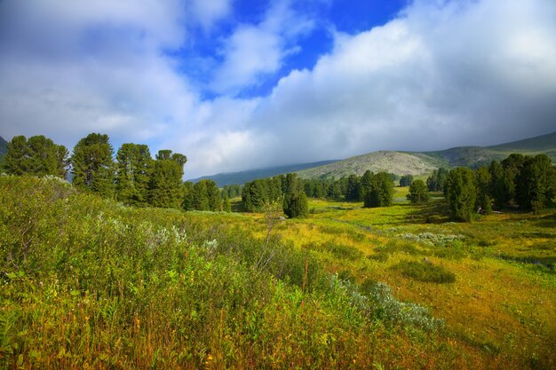 Altai montagne