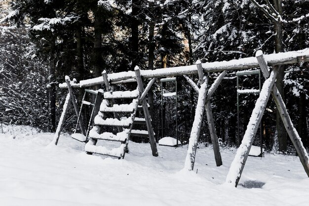 Altalene nella foresta invernale