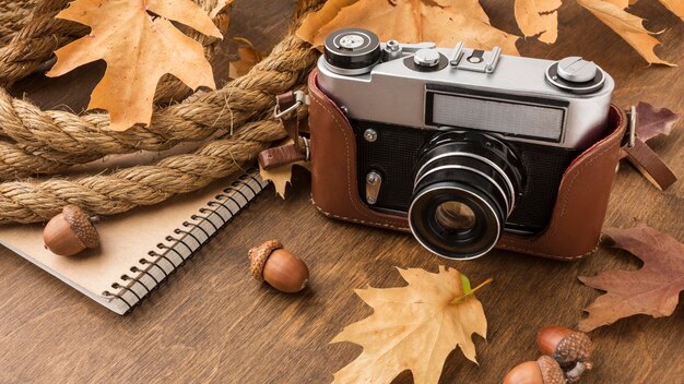 Alto angolo della macchina fotografica con le foglie e le ghiande di autunno