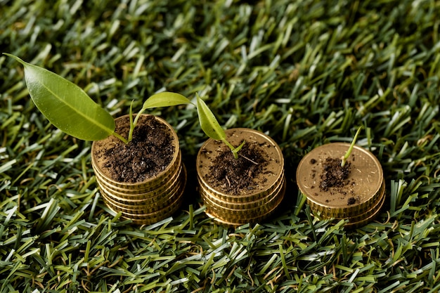 Alto angolo di tre pile di monete sull'erba con sporcizia e piante