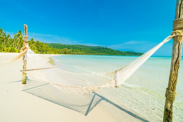 Amaca con spiaggia tropicale di natura e mare con palme da cocco