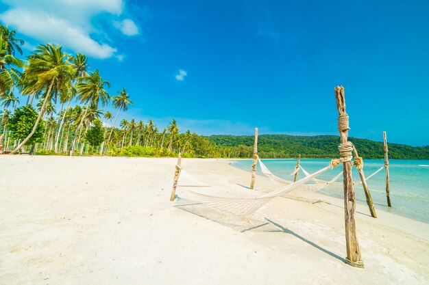 Amaca con spiaggia tropicale di natura e mare con palme da cocco