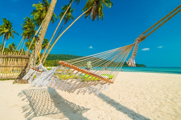 Amaca con spiaggia tropicale di natura e mare con palme da cocco