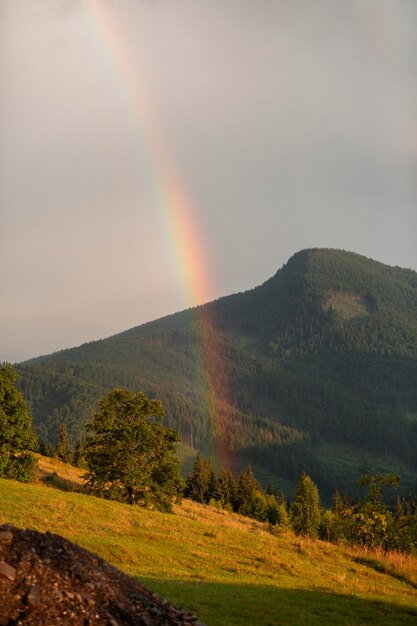 Ambiente rurale con arcobaleno alla luce del giorno