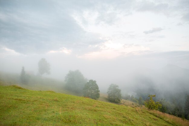 Ambiente rurale tranquillo alla luce del giorno