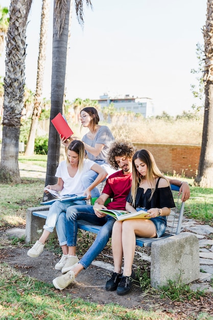 Amici che studiano insieme sulla panchina