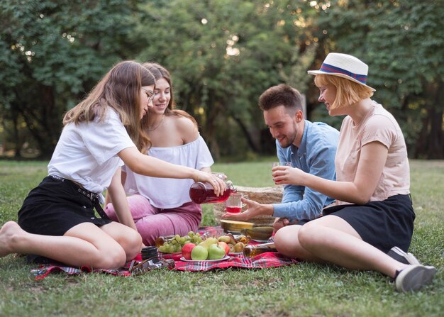 Amici del colpo pieno al picnic