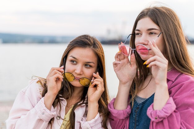 Amici femminili che hanno divertimento insieme in riva al lago