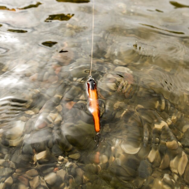 Amo da pesca nel fiume