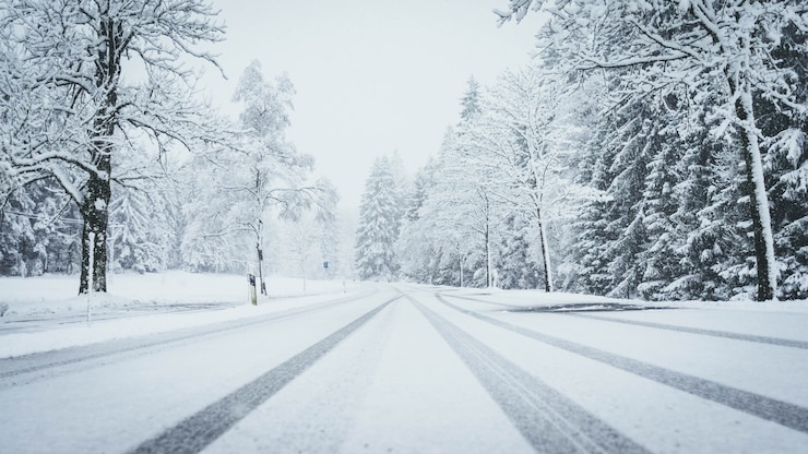 Foto gratuito ampia ripresa di una strada completamente coperta di neve con alberi di pino su entrambi i lati e tracce di auto