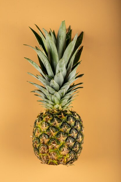 Ananas isolato sulla parete di colore arancione