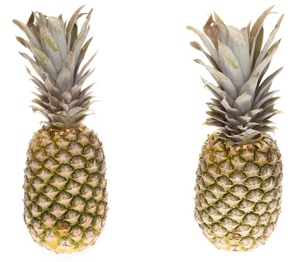 Ananas su sfondo bianco in studio isolato. Rinfresco estivo esotico