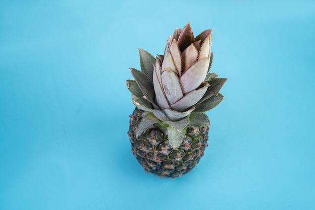 Ananas sulla superficie blu