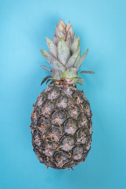 Ananas sullo sfondo blu